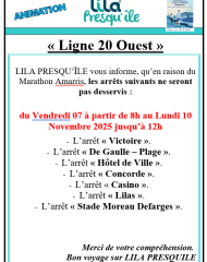 Perturbation réseau