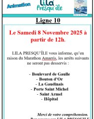 Perturbation réseau