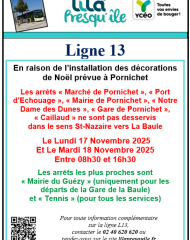 Perturbation réseau