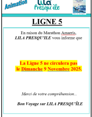 Perturbation réseau