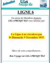 Perturbation réseau