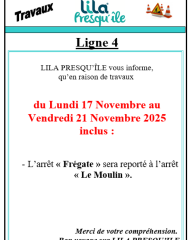 Perturbation réseau